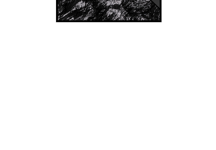 Read Surviving Romance chapter 16 image 62 on Lezhin