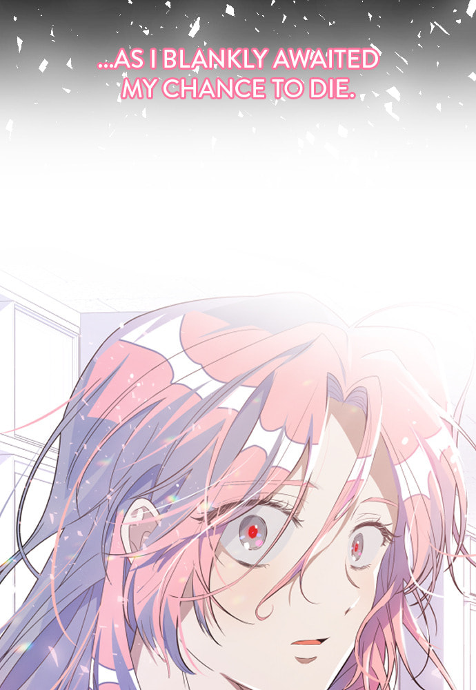 Read Surviving Romance chapter 42 image 90 on Lezhin