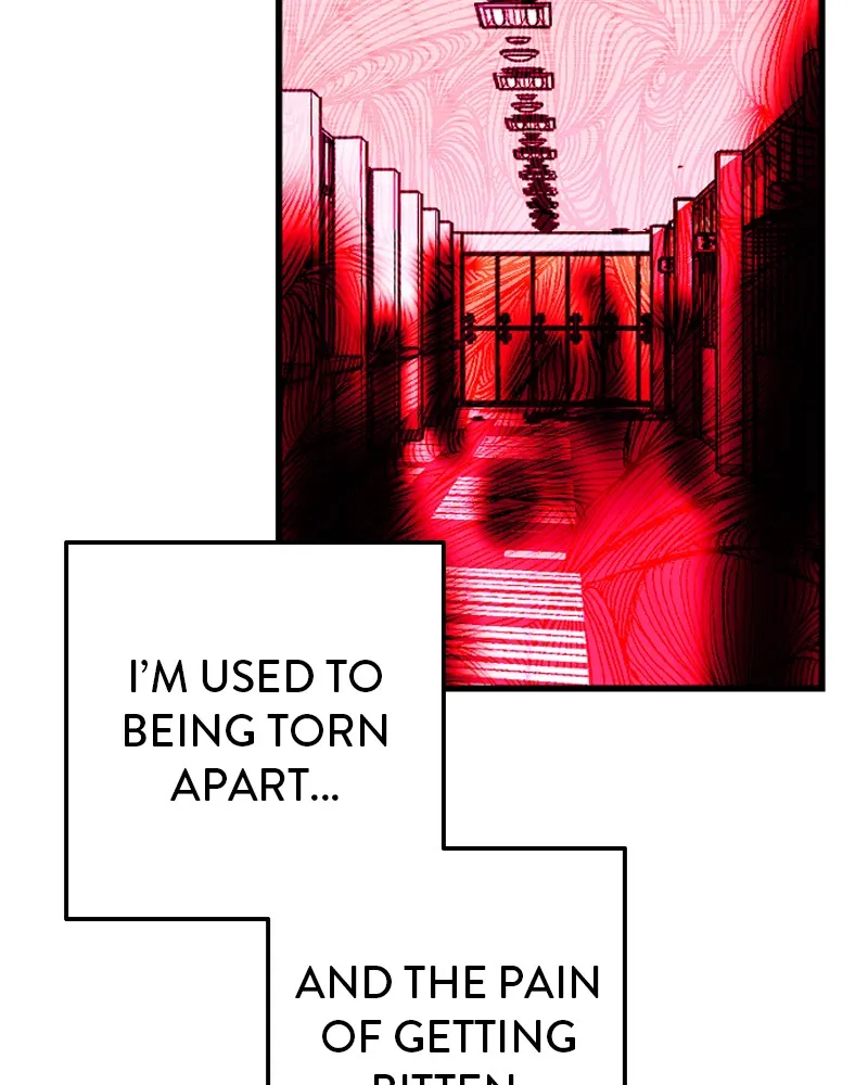 Read Surviving Romance chapter 5 image 168 on Lezhin