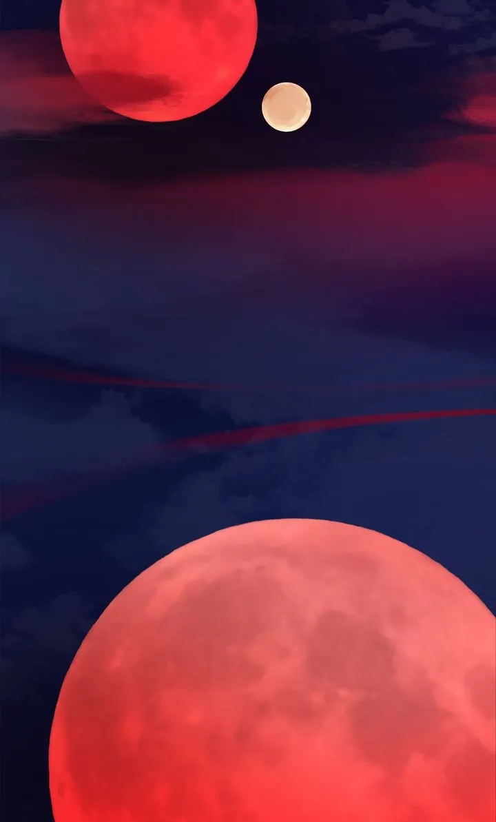 Read Surviving the Apocalypse (matgam) chapter 25 image 24 on Lezhin