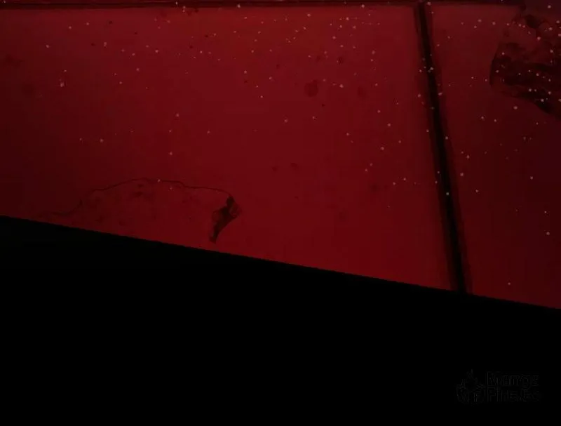 Read Surviving the Apocalypse chapter 13 image 68 on Lezhin