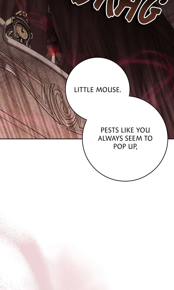 Read Swan