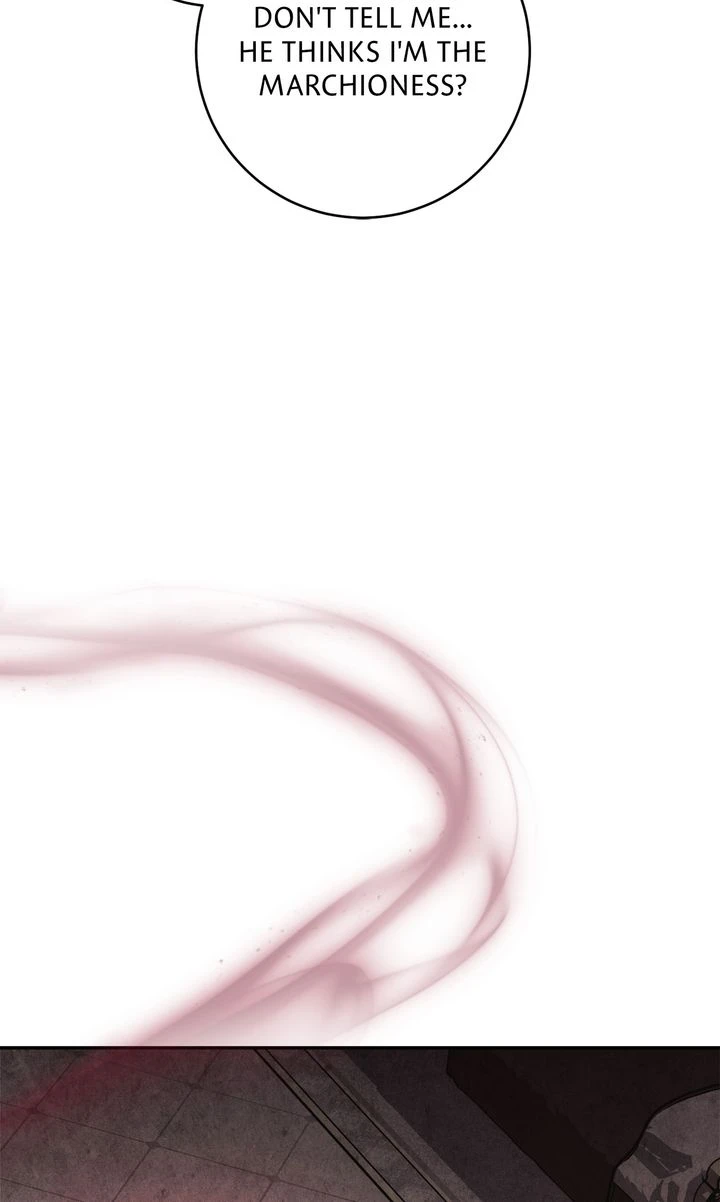 Read Swan