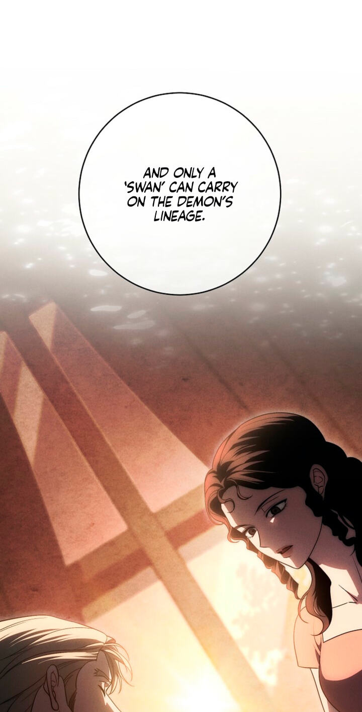 Read Swan
