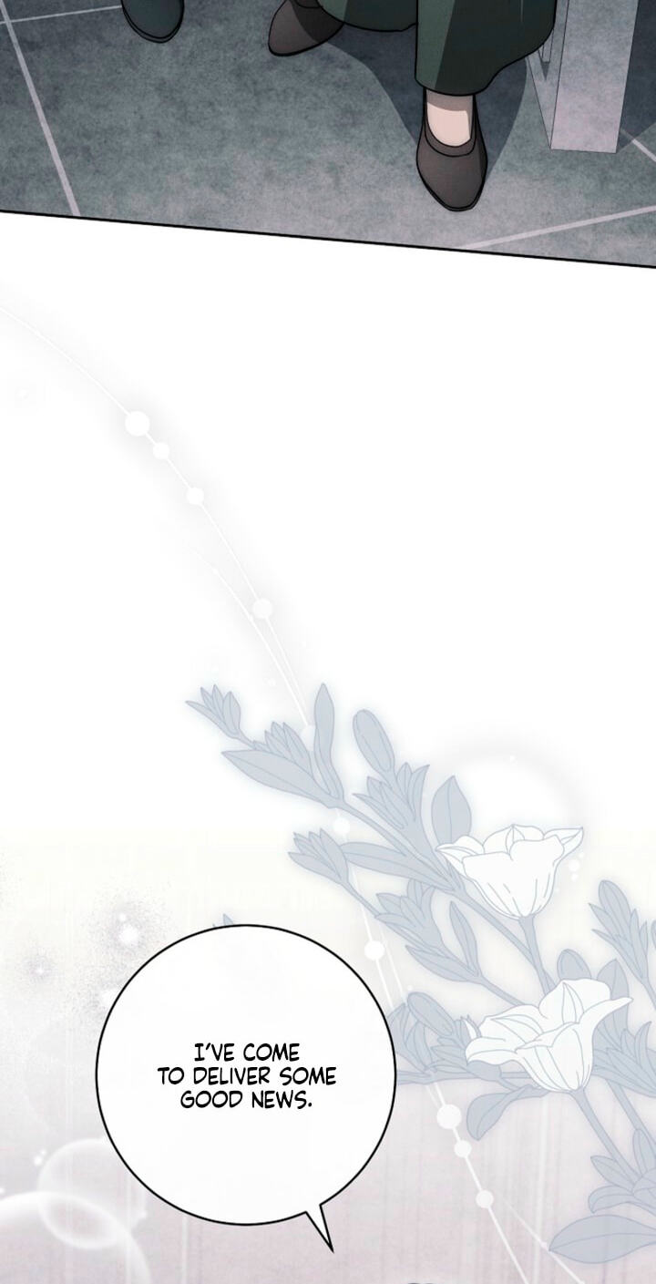 Read Swan