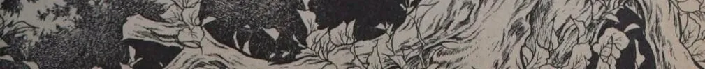 Read Swan chapter 0 image 207 on Lezhin