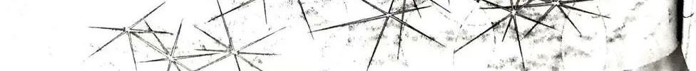Read Swan chapter 20 image 13 on Lezhin