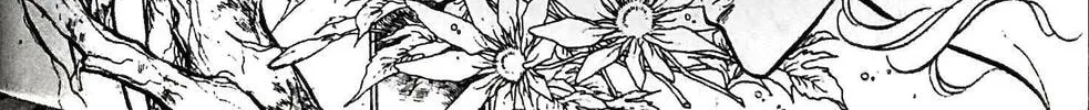 Read Swan chapter 24 image 3 on Lezhin