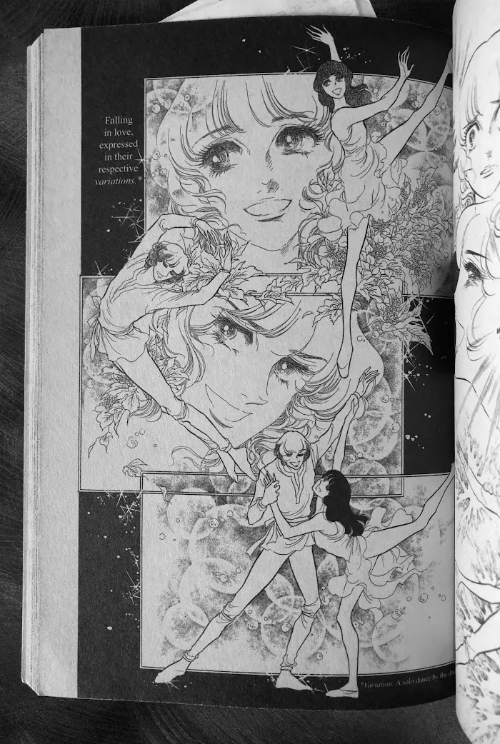 Read Swan chapter 33.3 image 13 on Lezhin