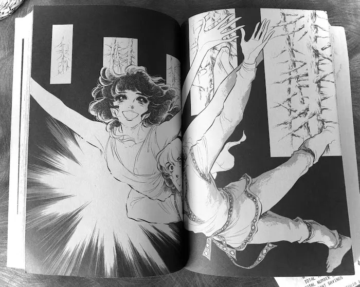 Read Swan chapter 33.3 image 17 on Lezhin