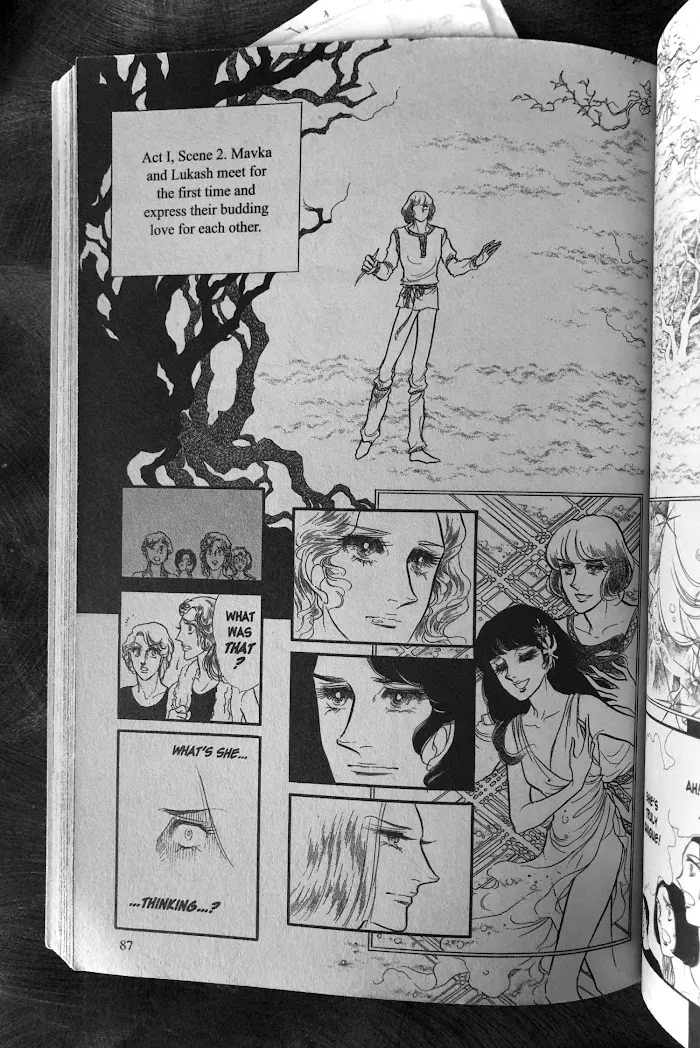 Read Swan chapter 33.3 image 3 on Lezhin