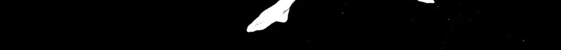 Read Swan chapter 40.6 image 13 on Lezhin