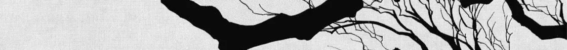 Read Swan chapter 41 image 15 on Lezhin
