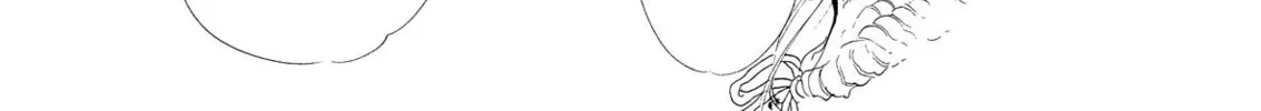 Read Swan chapter 55 image 37 on Lezhin