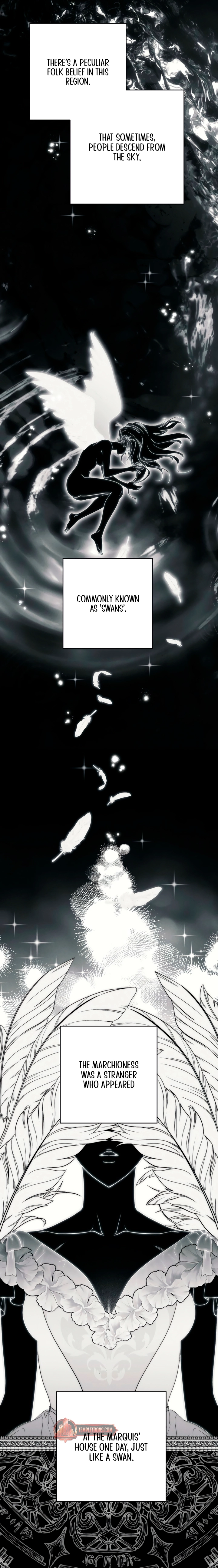 Read Swan