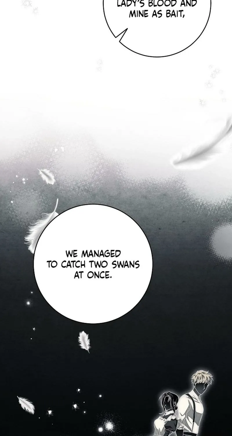 Read Swan