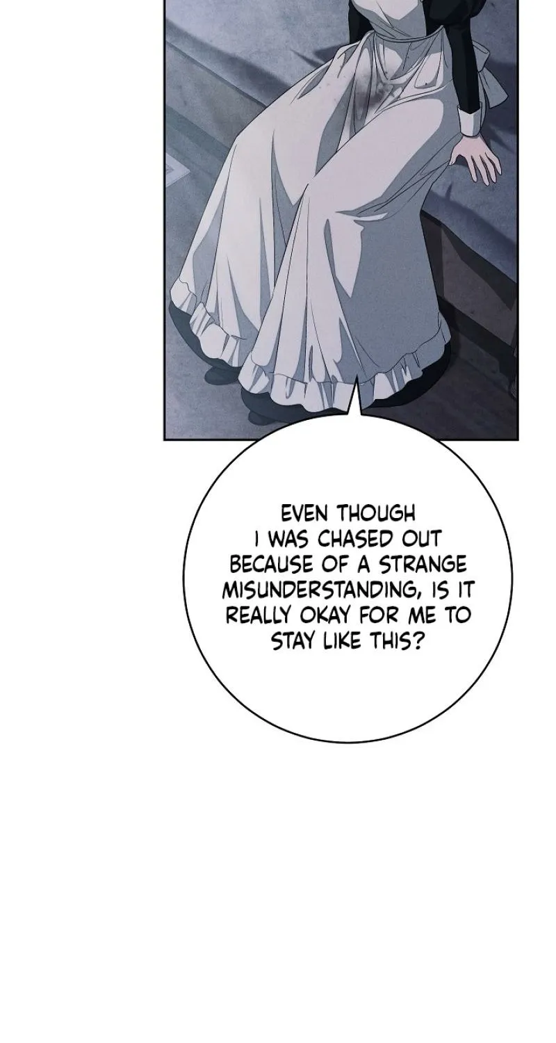 Read Swan