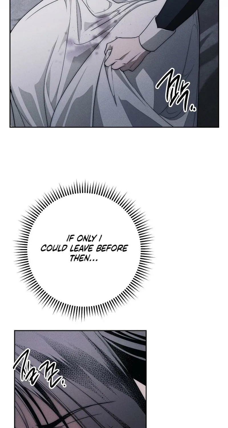 Read Swan