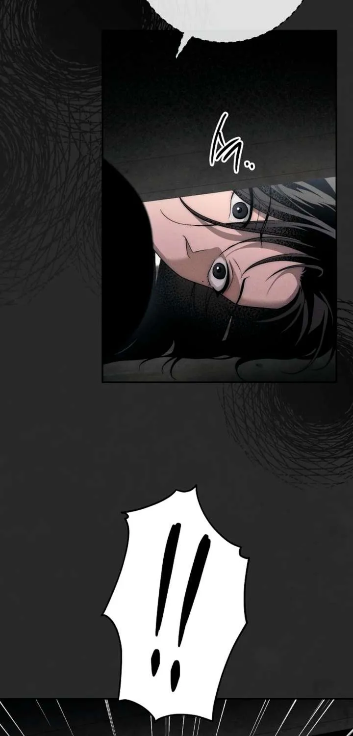Read Swan