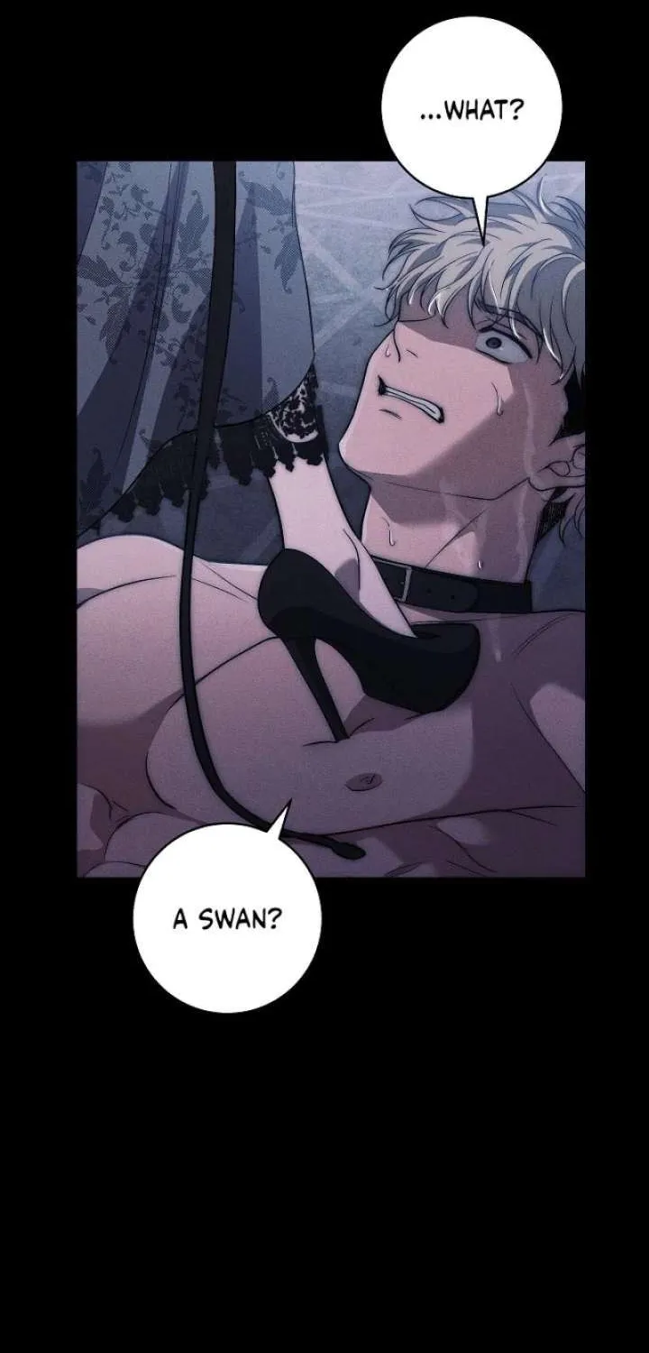 Read Swan