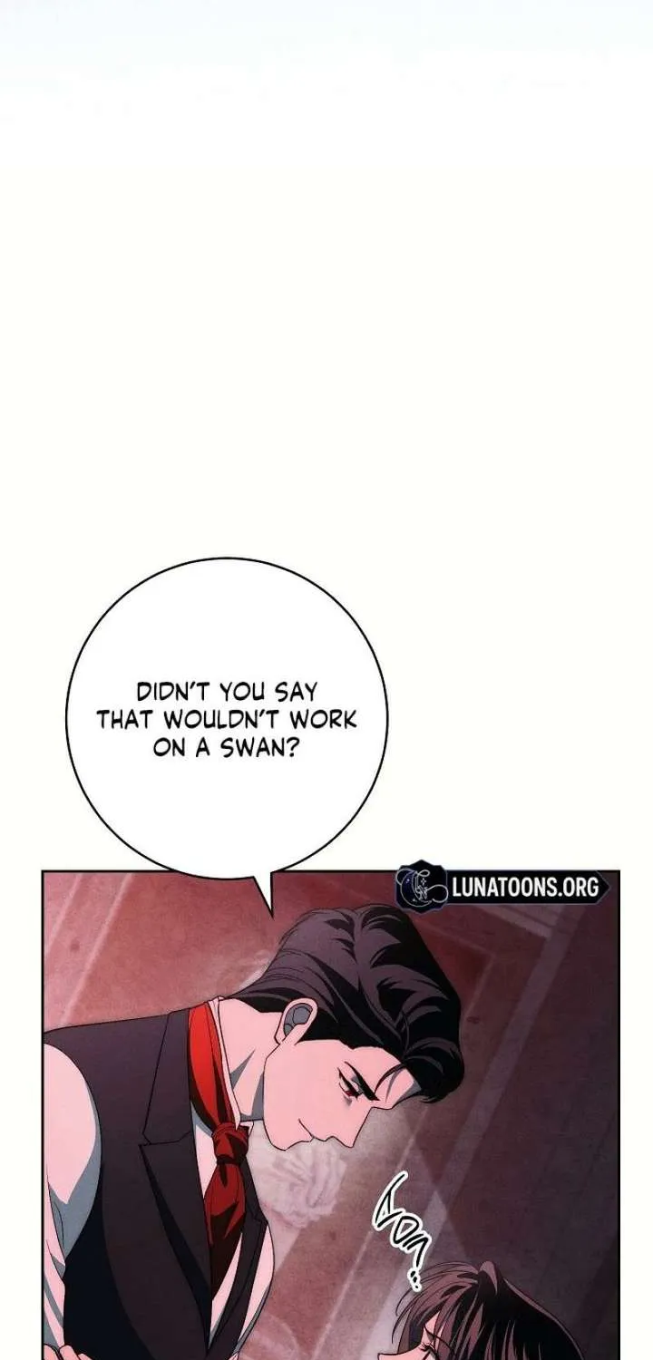 Read Swan
