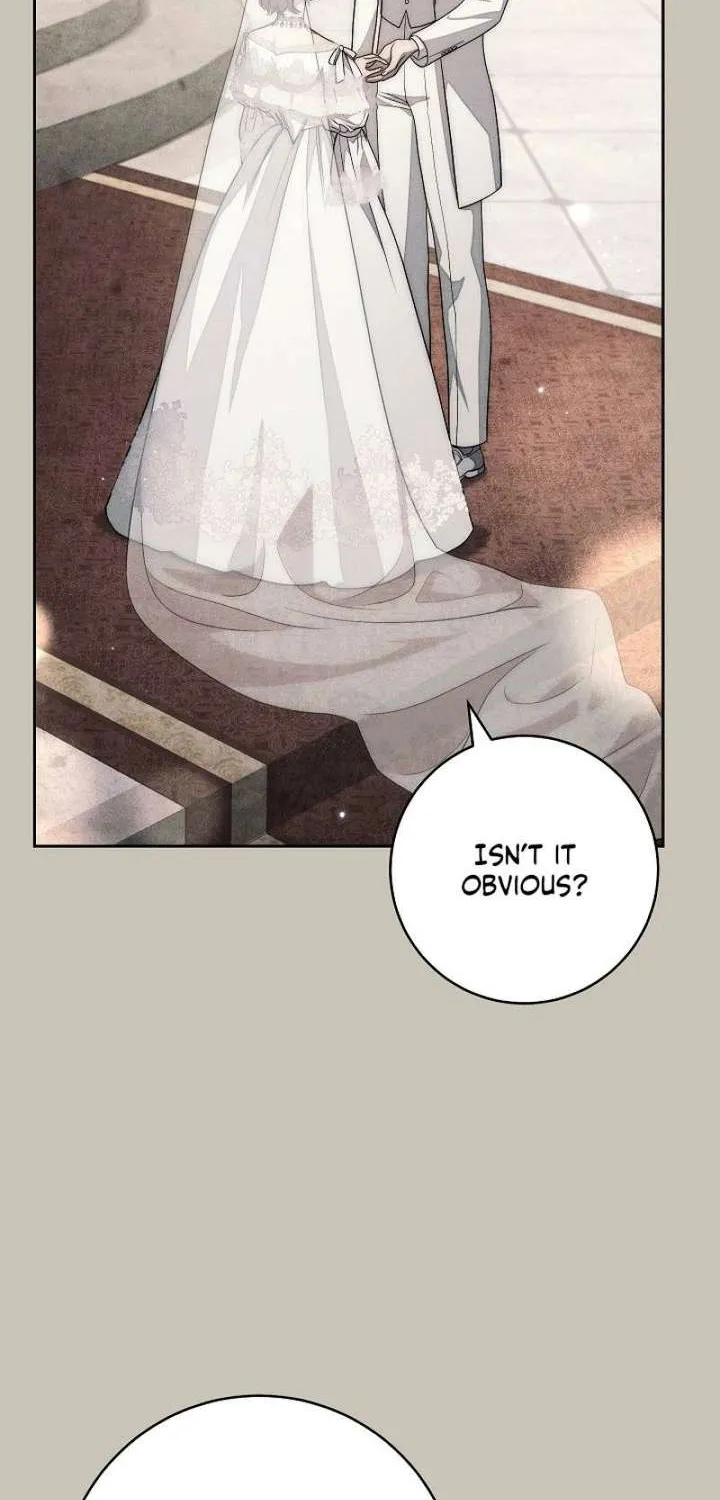 Read Swan