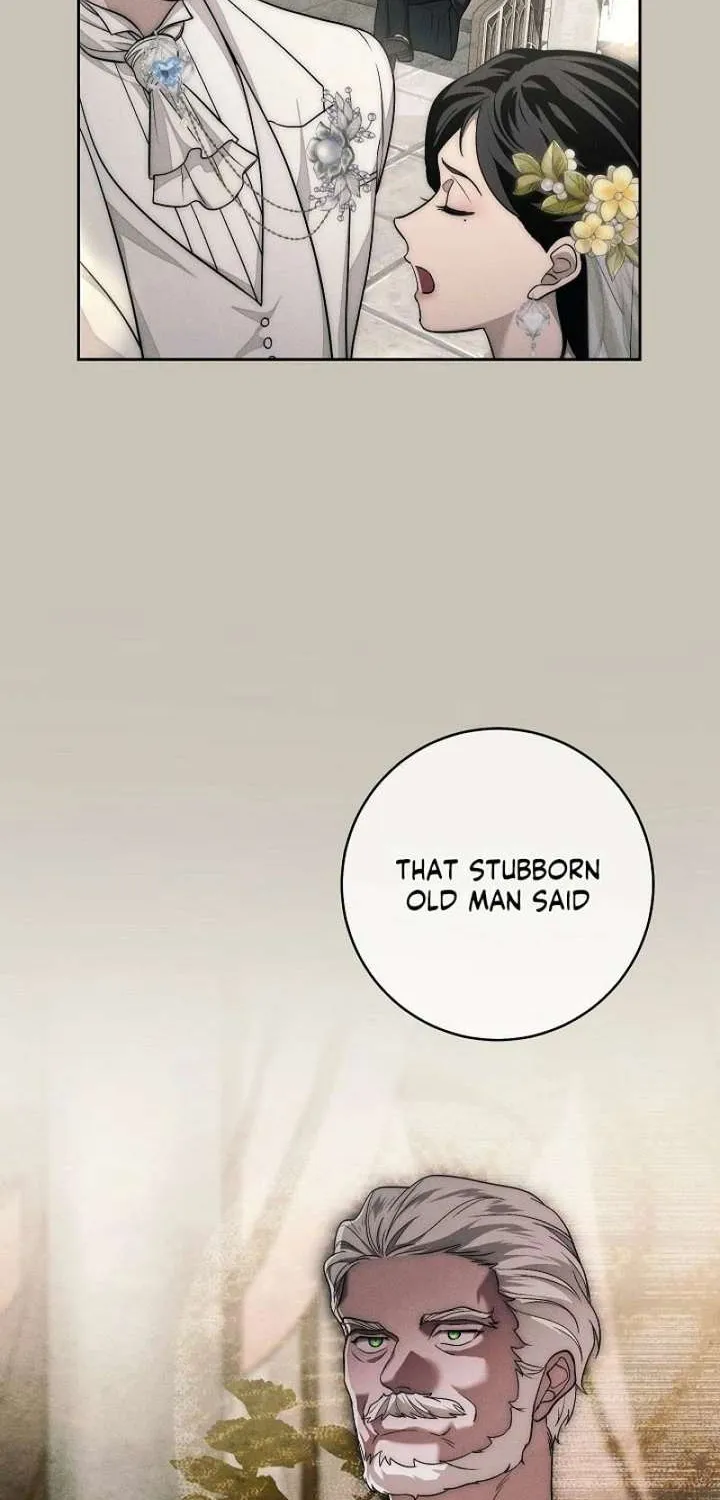 Read Swan