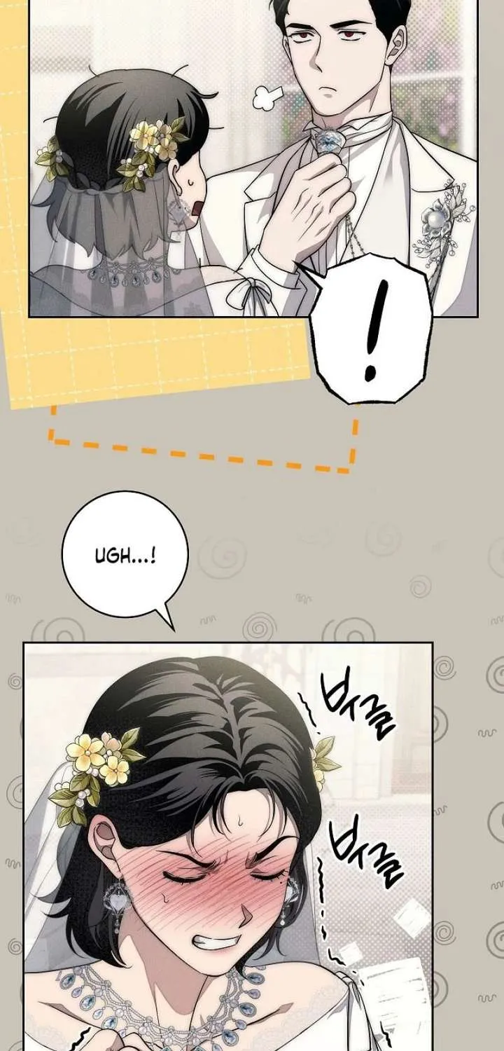 Read Swan