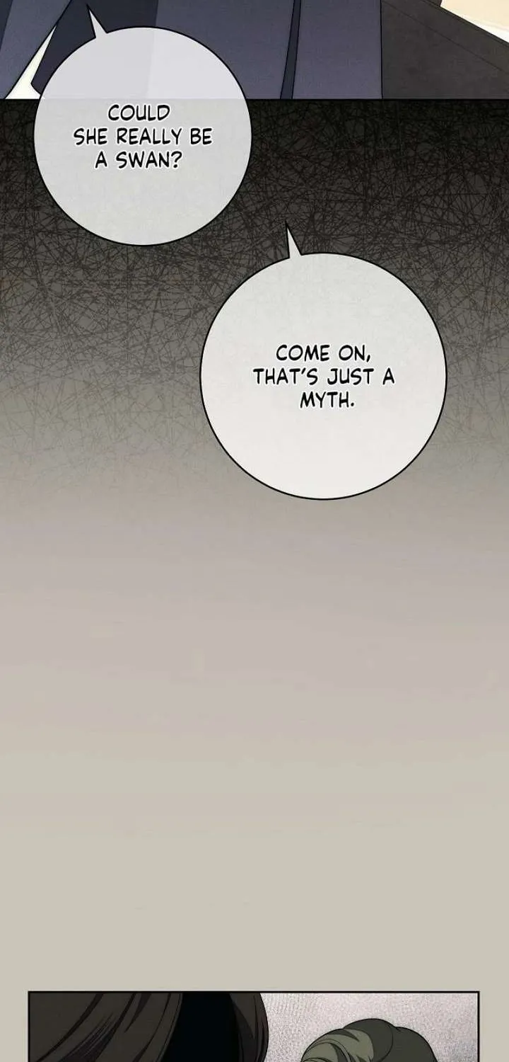Read Swan