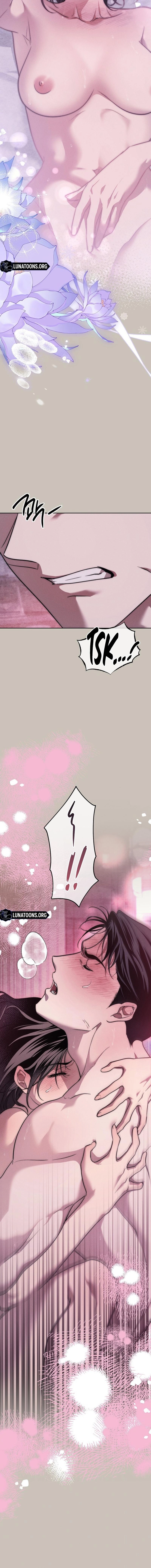 Read Swan