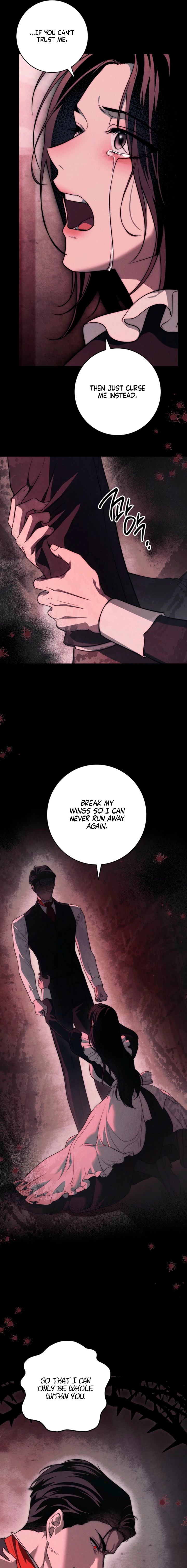 Read Swan