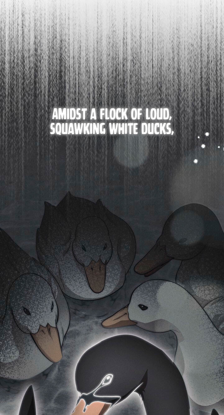 Read Swan