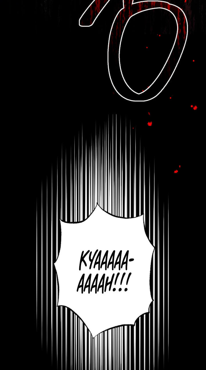Read Swan