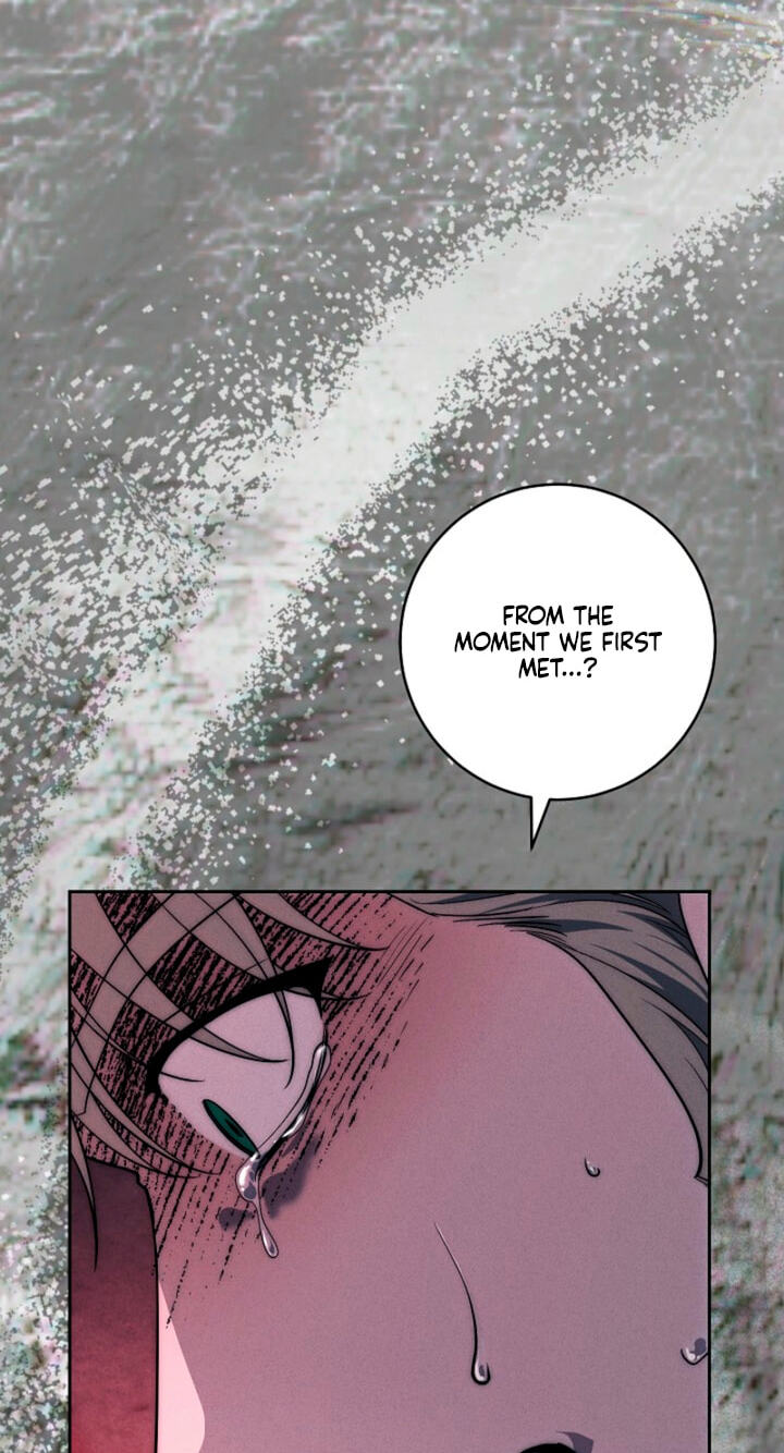 Read Swan