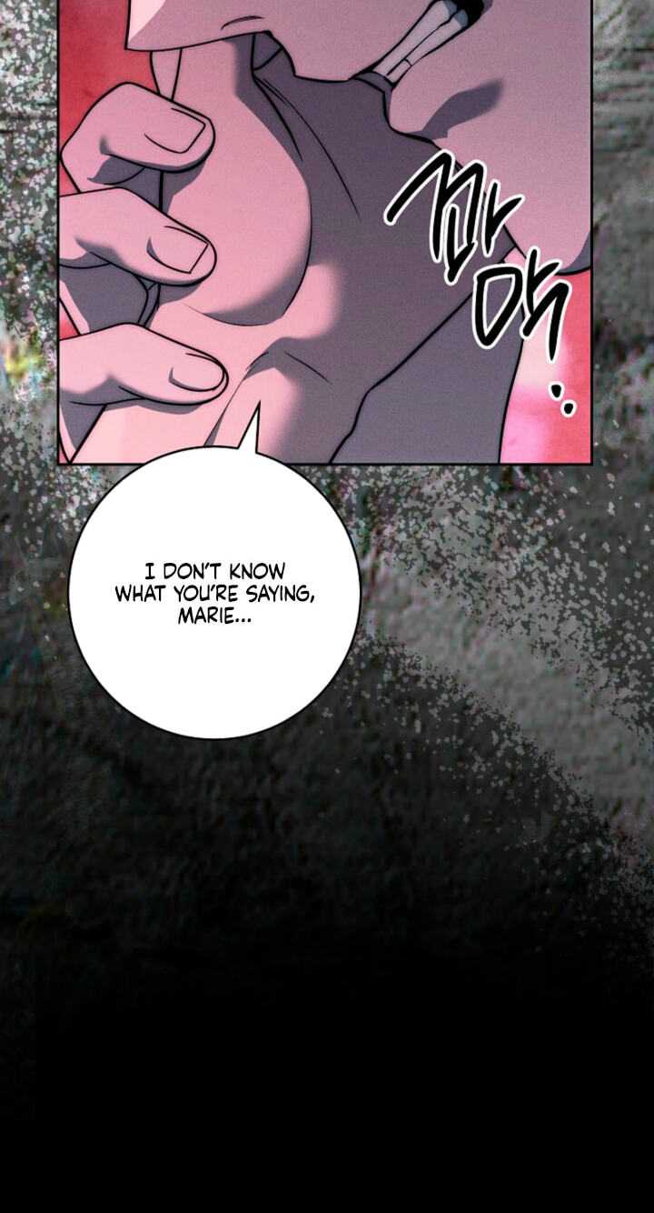 Read Swan