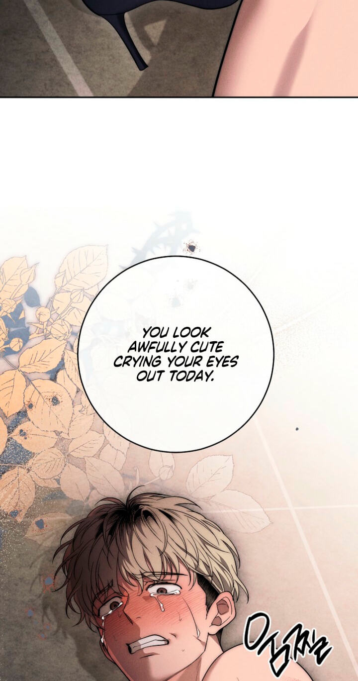 Read Swan