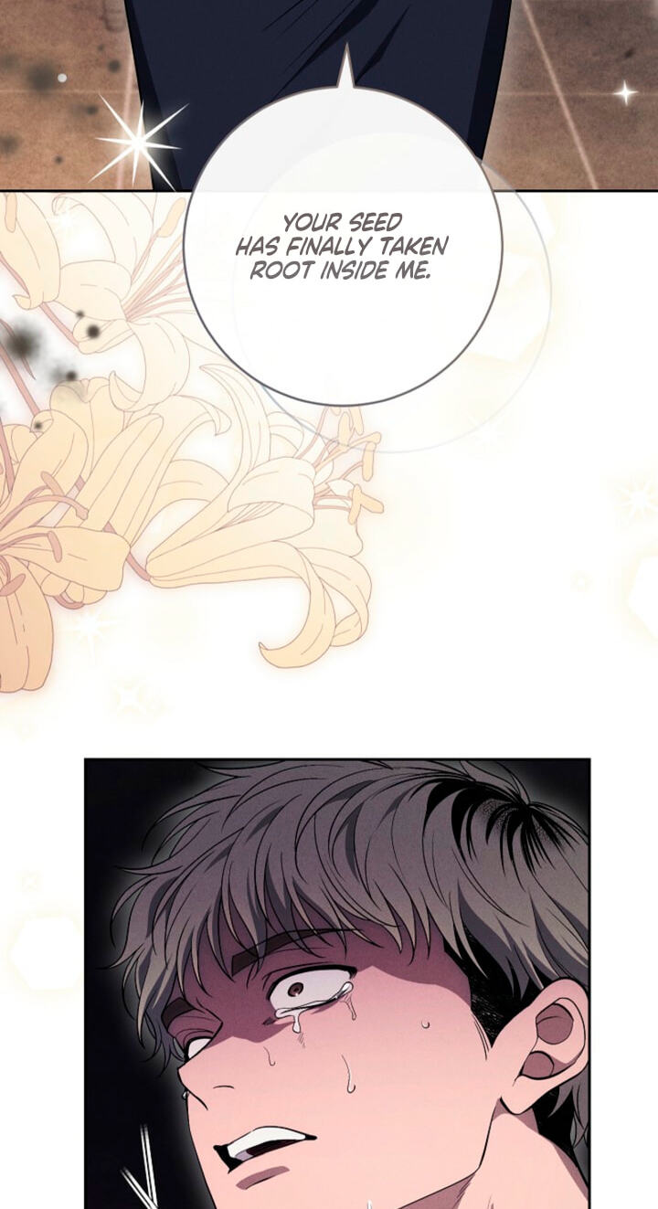 Read Swan