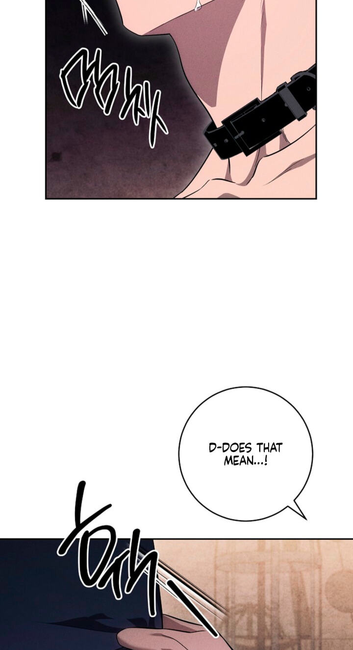 Read Swan
