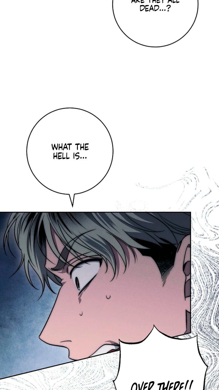 Read Swan