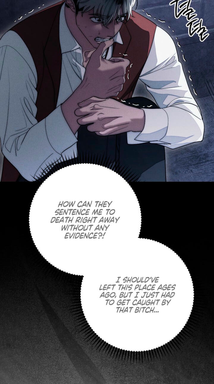 Read Swan