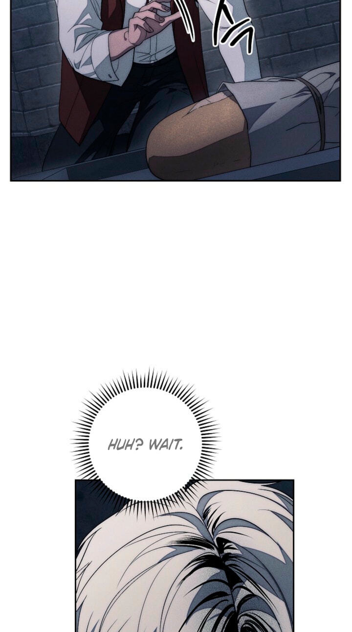 Read Swan