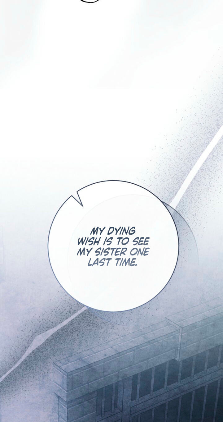 Read Swan