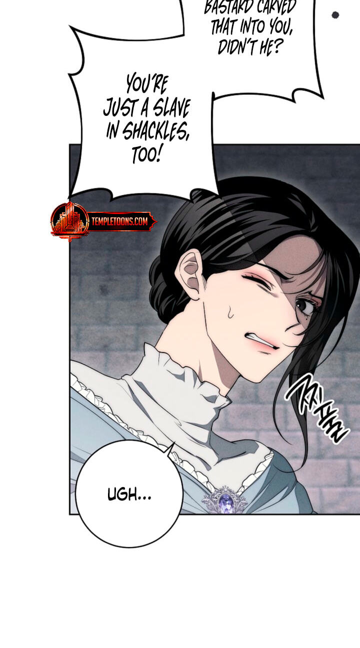 Read Swan
