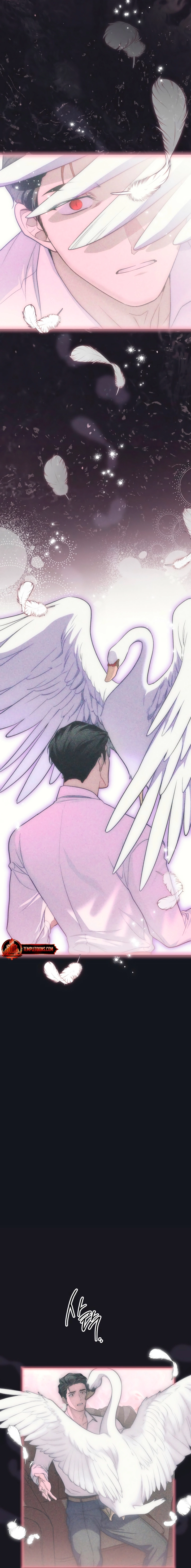 Read Swan