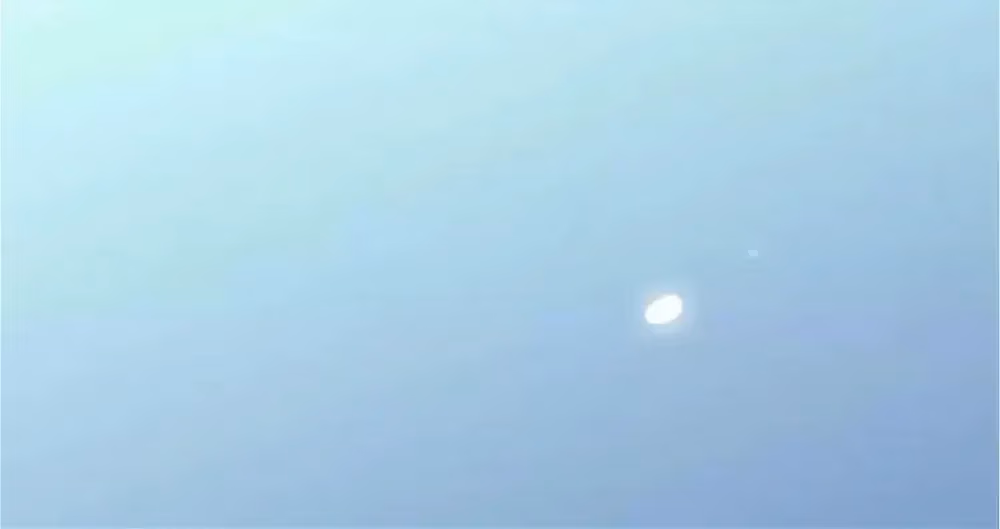 Read Sweet Bite Marks chapter 3.1 image 41 on Lezhin