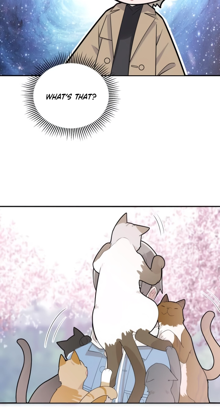 Sweet Little Love Story Chapter 1 page 48 - 
