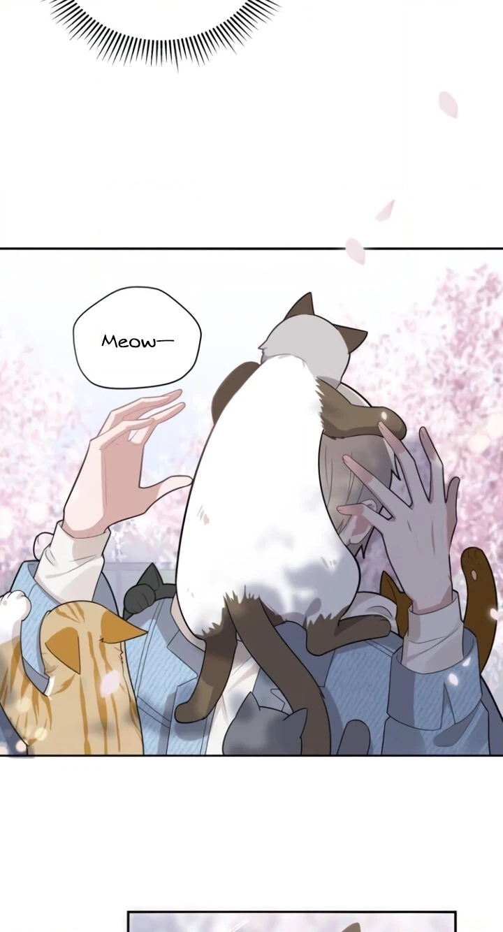Sweet Little Love Story Chapter 1 page 50 - 