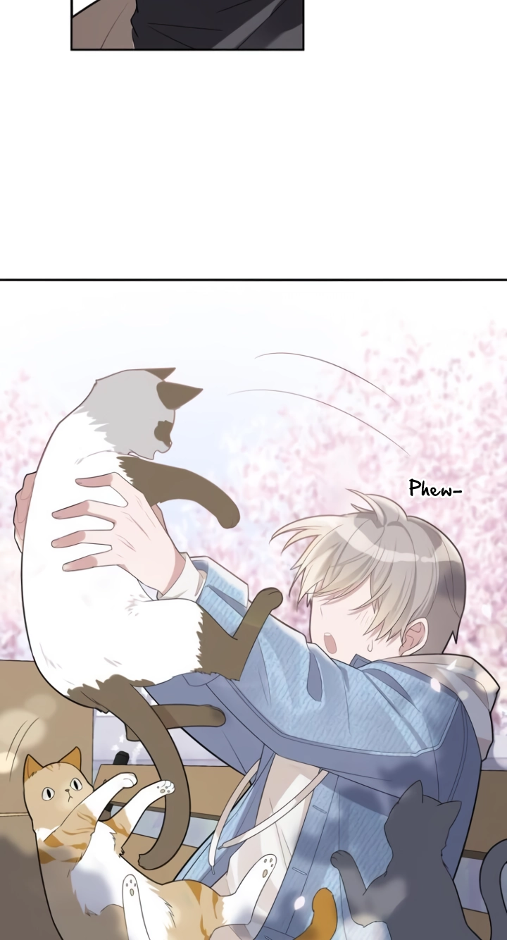 Sweet Little Love Story Chapter 1 page 52 - 