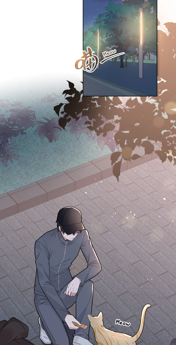 Sweet Little Love Story Chapter 10 page 3 - 