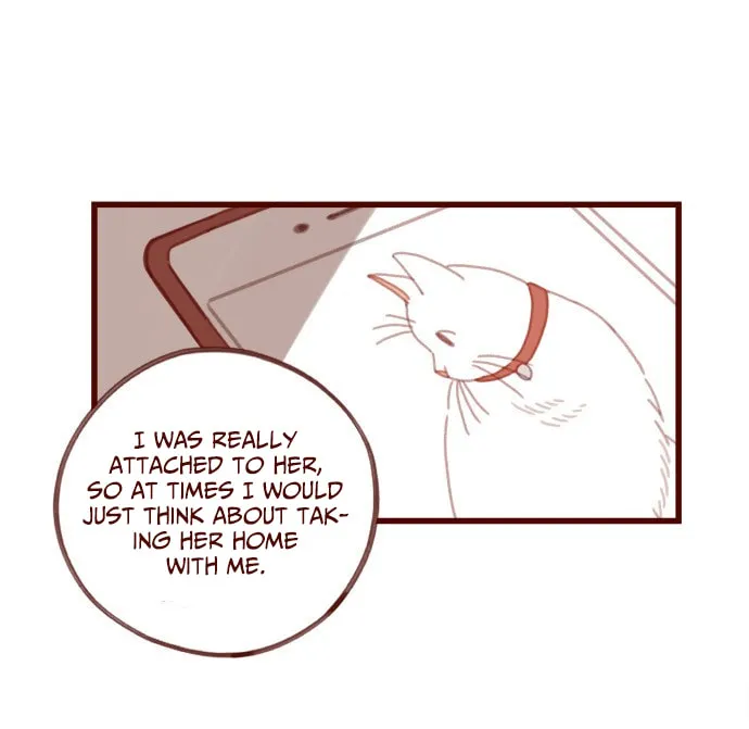 Read Sweet Salty chapter 10 image 14 on Lezhin